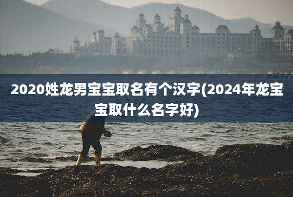 2020姓龙男宝宝取名有个汉字(2024年龙宝宝取什么名字好)