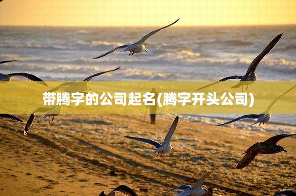 带腾字的公司起名(腾字开头公司)