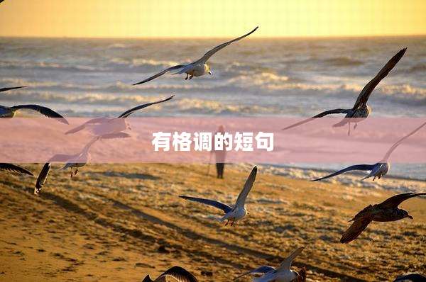 有格调的短句