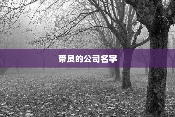 带良的公司名字