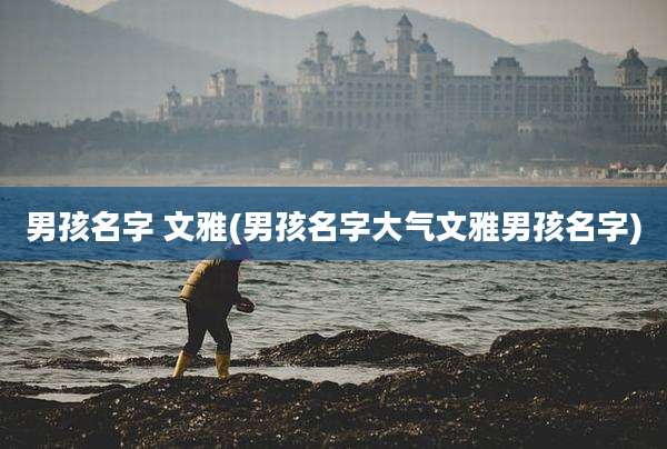 男孩名字 文雅(男孩名字大气文雅男孩名字)