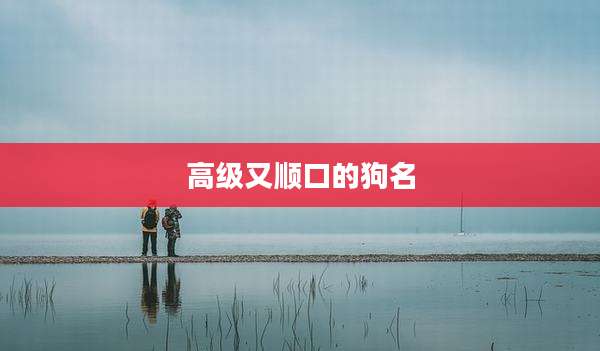 高级又顺口的狗名