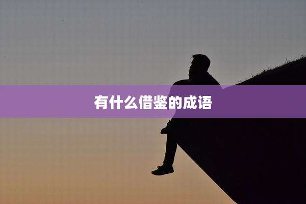 有什么借鉴的成语