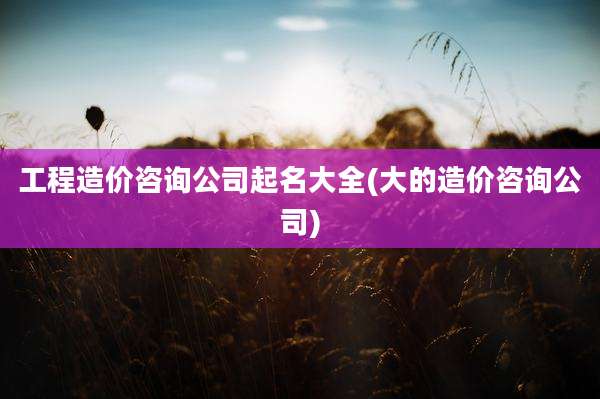 工程造价咨询公司起名大全(大的造价咨询公司)