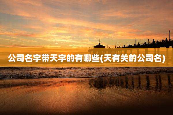 公司名字带天字的有哪些(天有关的公司名)