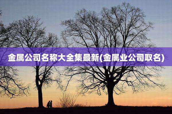 金属公司名称大全集最新(金属业公司取名)