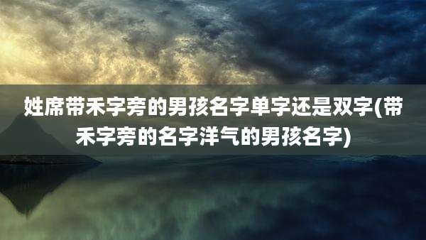 姓席带禾字旁的男孩名字单字还是双字(带禾字旁的名字洋气的男孩名字)