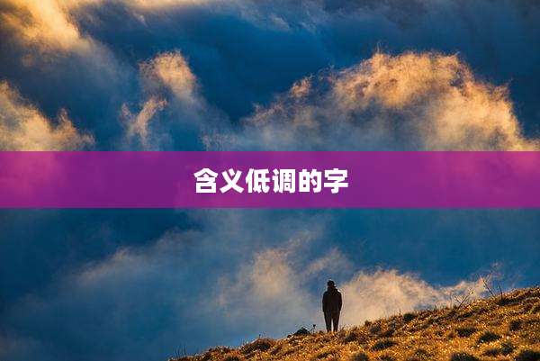 含义低调的字