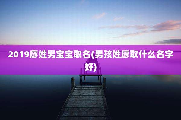 2019廖姓男宝宝取名(男孩姓廖取什么名字好)