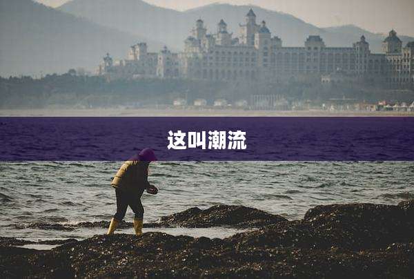 这叫潮流