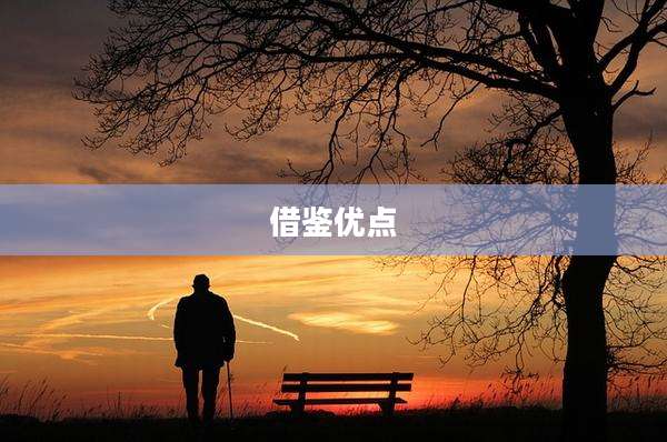 借鉴优点