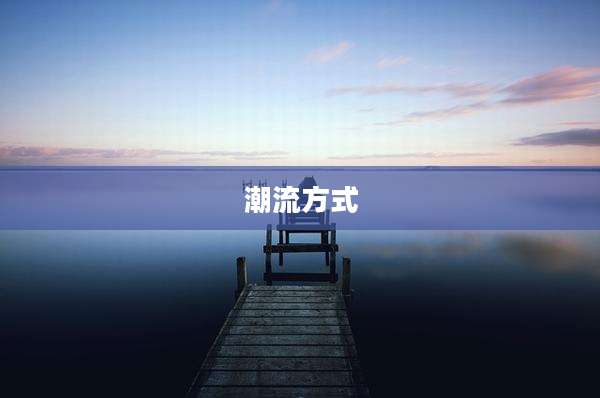 潮流方式