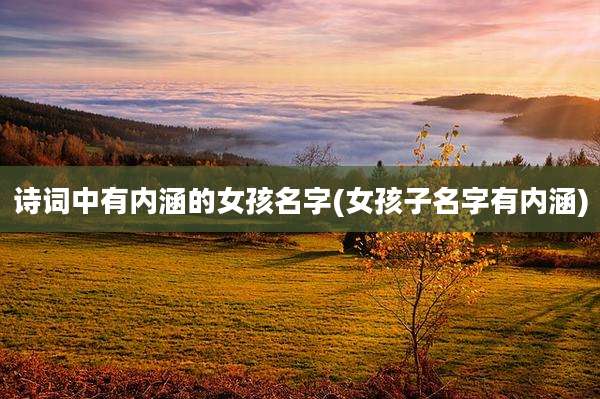诗词中有内涵的女孩名字(女孩子名字有内涵)