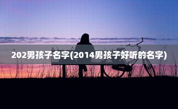 202男孩子名字(2014男孩子好听的名字)
