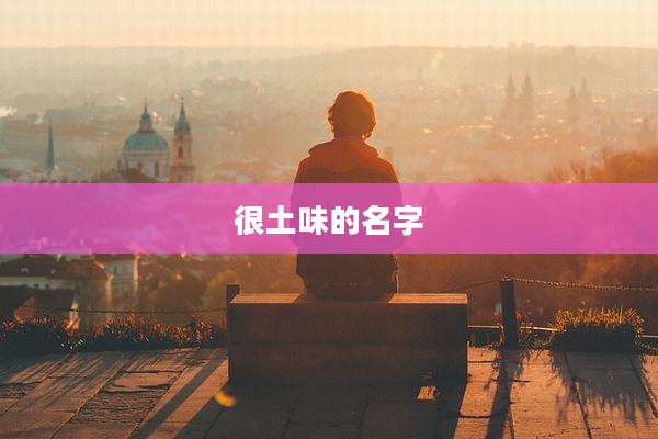 很土味的名字