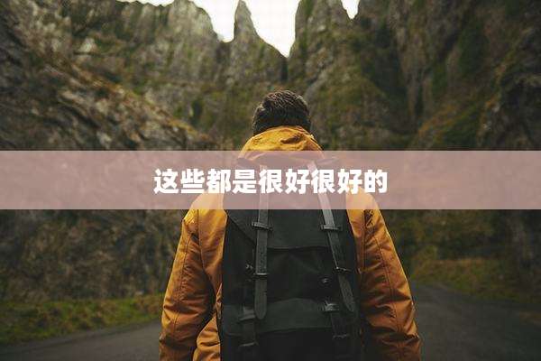 这些都是很好很好的