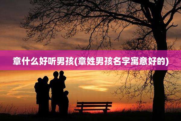 章什么好听男孩(章姓男孩名字寓意好的)