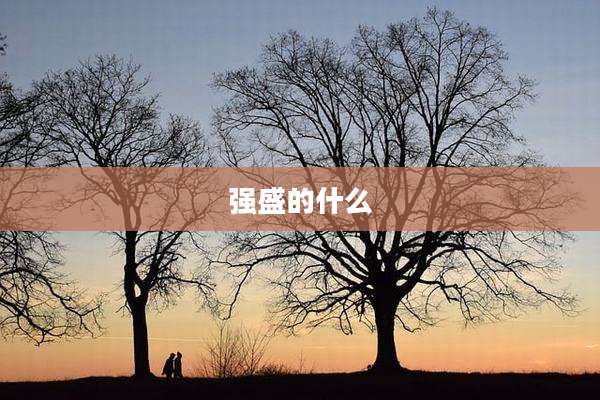 强盛的什么