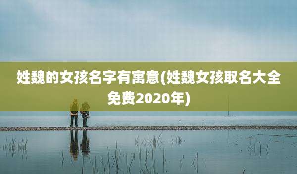 姓魏的女孩名字有寓意(姓魏女孩取名大全免费2020年)