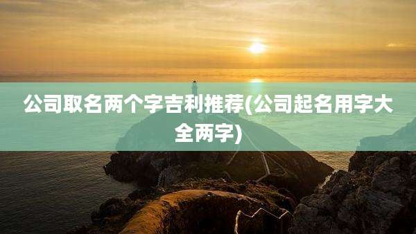 公司取名两个字吉利推荐(公司起名用字大全两字)