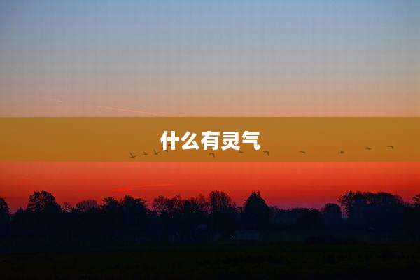 什么有灵气