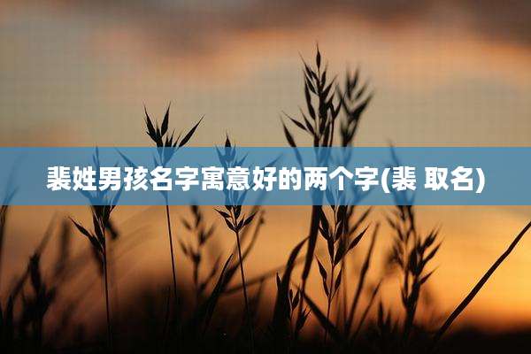 裴姓男孩名字寓意好的两个字(裴 取名)