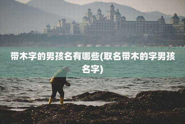 带木字的男孩名有哪些(取名带木的字男孩名字)