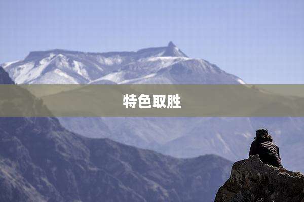 特色取胜