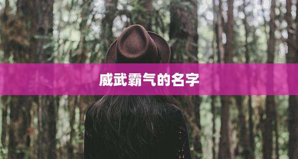 威武霸气的名字