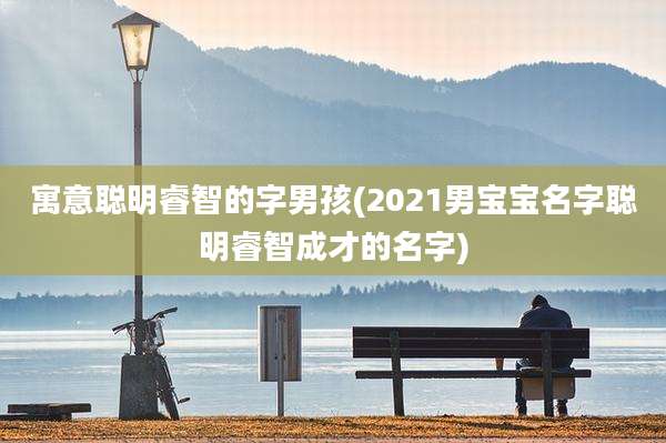 寓意聪明睿智的字男孩(2021男宝宝名字聪明睿智成才的名字)