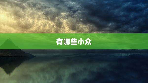 有哪些小众