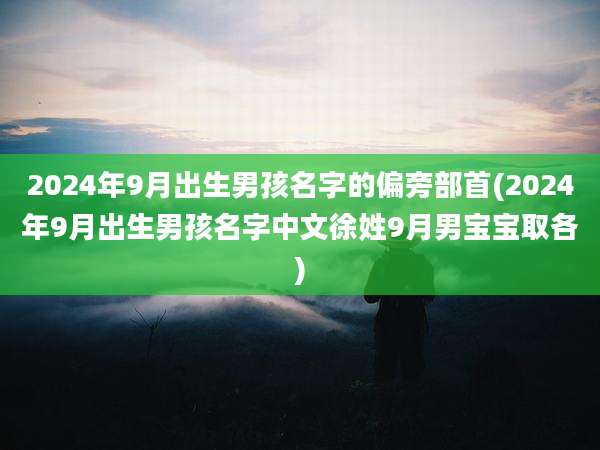2024年9月出生男孩名字的偏旁部首(2024年9月出生男孩名字中文徐姓9月男宝宝取各)