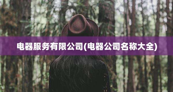 电器服务有限公司(电器公司名称大全)
