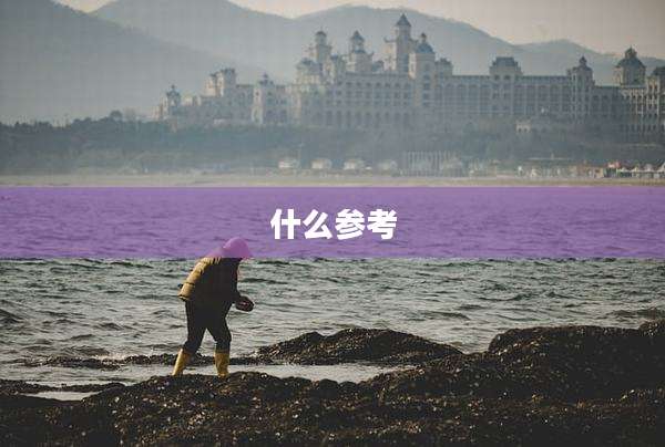 什么参考