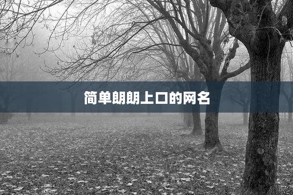 简单朗朗上口的网名