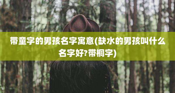带童字的男孩名字寓意(缺水的男孩叫什么名字好?带桐字)
