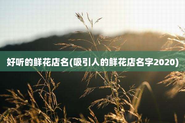 好听的鲜花店名(吸引人的鲜花店名字2020)