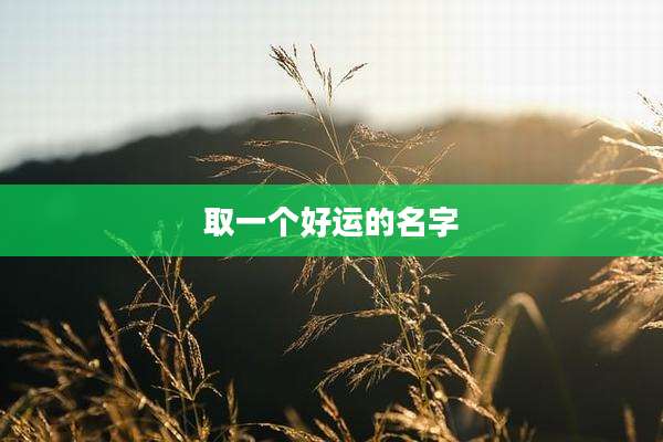 取一个好运的名字