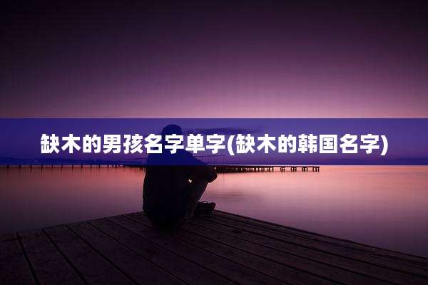 缺木的男孩名字单字(缺木的韩国名字)
