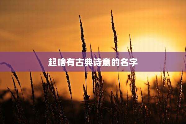起啥有古典诗意的名字