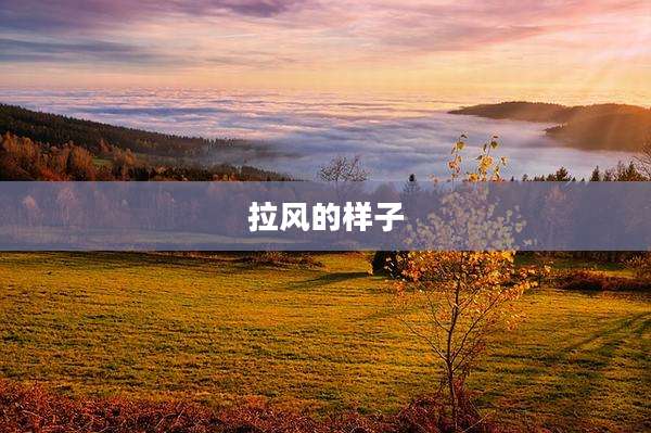 拉风的样子
