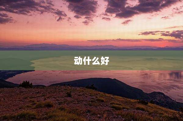 动什么好