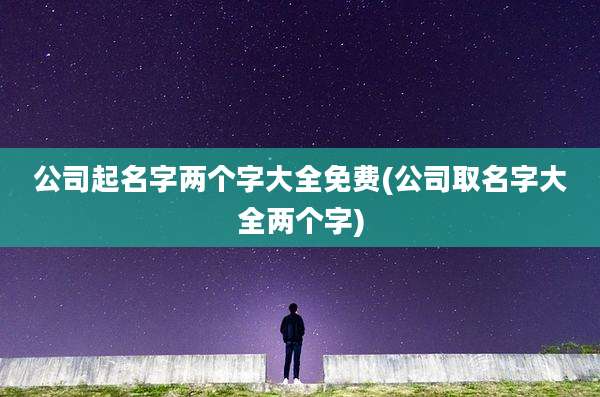 公司起名字两个字大全免费(公司取名字大全两个字)