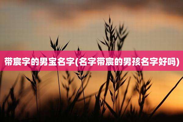 带宸字的男宝名字(名字带宸的男孩名字好吗)