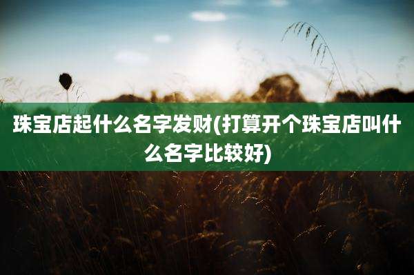 珠宝店起什么名字发财(打算开个珠宝店叫什么名字比较好)