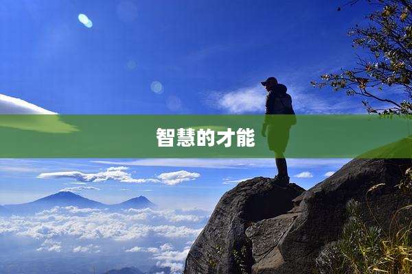 智慧的才能