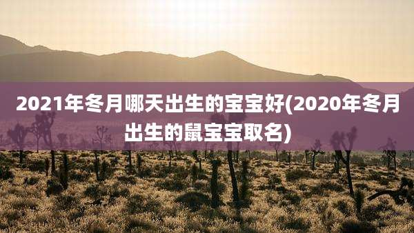 2021年冬月哪天出生的宝宝好(2020年冬月出生的鼠宝宝取名)