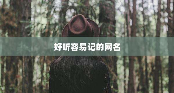 好听容易记的网名