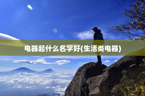 电器起什么名字好(生活类电器)