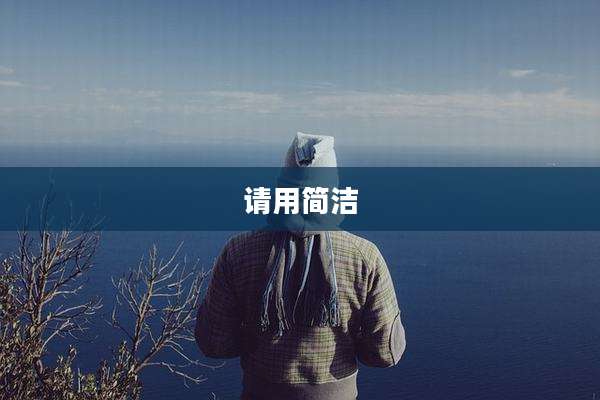 请用简洁